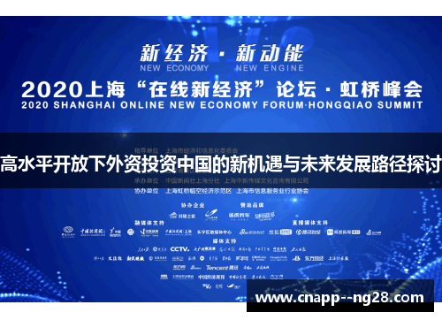高水平开放下外资投资中国的新机遇与未来发展路径探讨 高水平开放下外资投资中国的新机遇与未来发展路径探讨