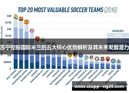 苏宁控股国际米兰的五大核心优势解析及其未来发展潜力